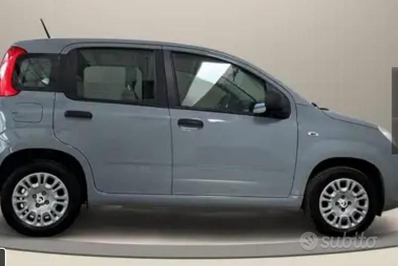 Usata Fiat Panda 70 CV (51 kW) 2021 Grigio Utilitaria