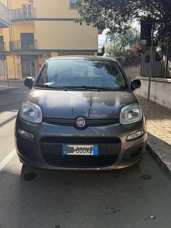 Usata Fiat Panda Easy 69 CV (50 kW) 2020 Grigio Utilitaria