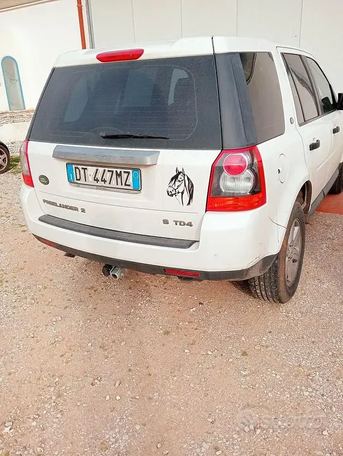 Usata Land Rover Freelander 2 160 CV (117 kW) 2009 Bianco SUV