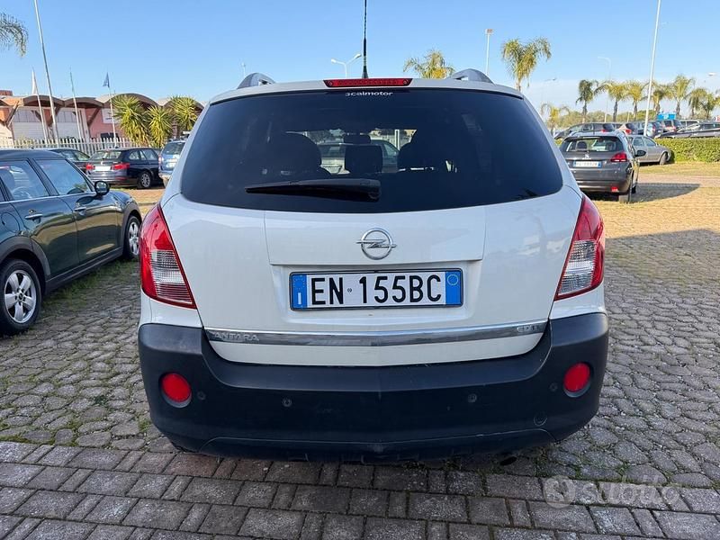 Usata Opel Antara Cosmo 163 CV (119 kW) 2012 Bianco SUV