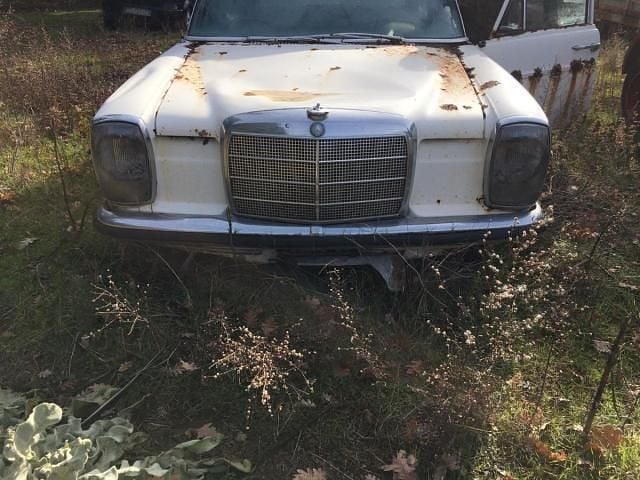 Usata Mercedes 220 81 CV (59 kW) 1969 Bianco Berlina