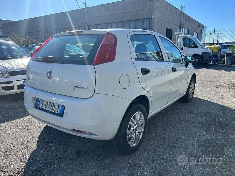 Usata Fiat Punto Lounge 77 CV (56 kW) 2013 Bianco Utilitaria