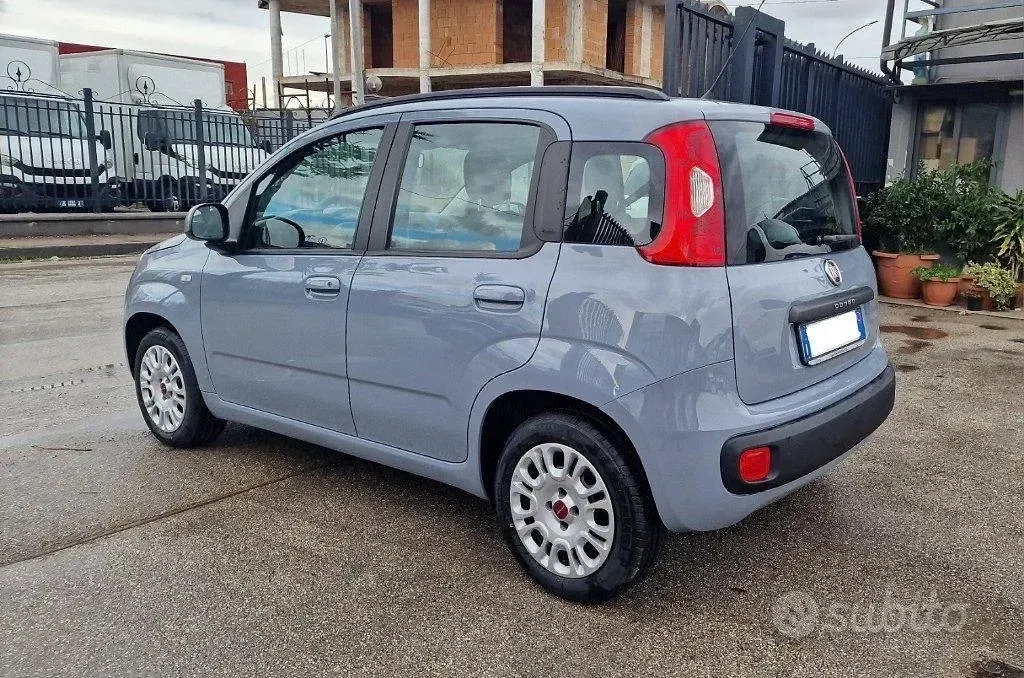 Usata Fiat Panda Easy 69 CV (50 kW) 2019 Grigio Utilitaria