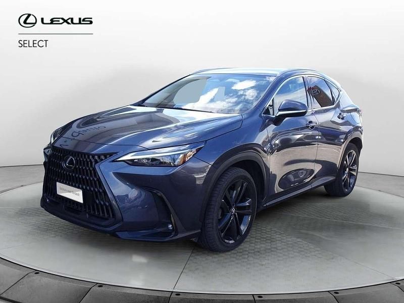 Usata Lexus NX300 309 CV (227 kW) 2023 Grigio SUV