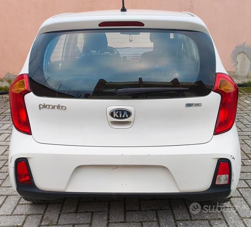 Usata Kia Picanto 2016 Bianco Utilitaria