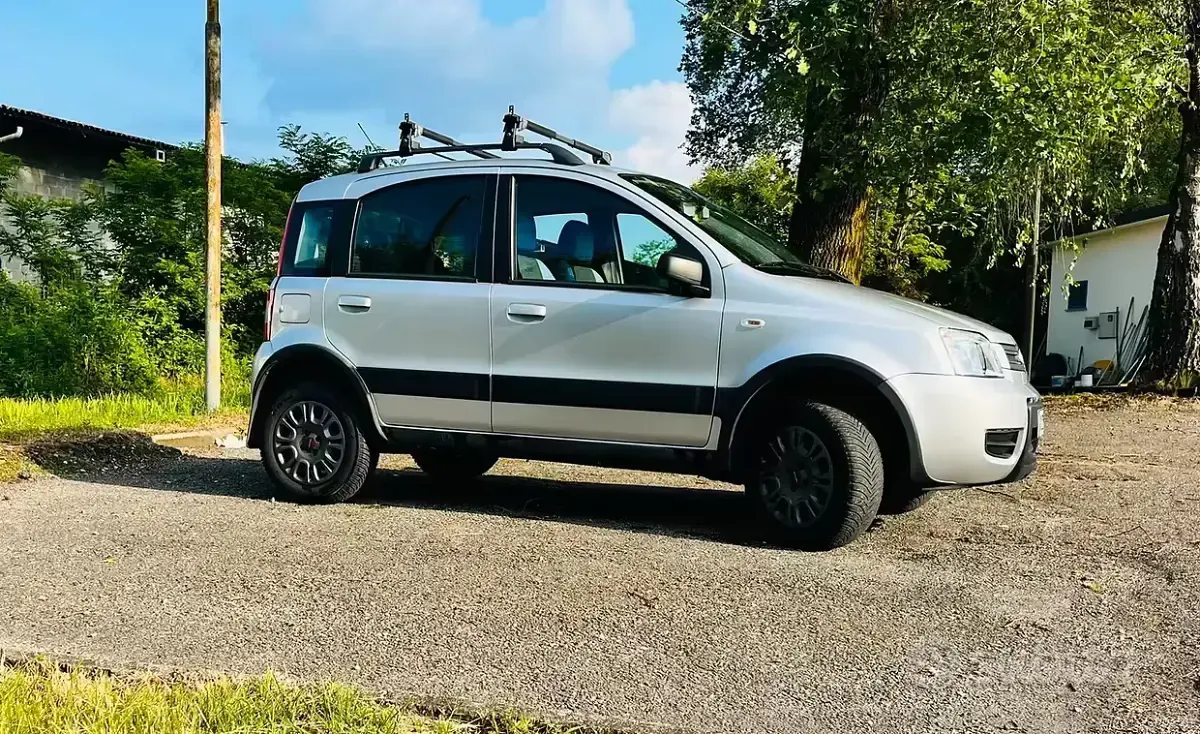 Usata Fiat Panda 4x4 60 CV (44 kW) 2008 Grigio Utilitaria