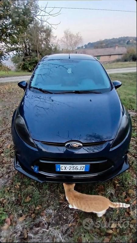 Usata Ford Fiesta 2010 Blu Utilitaria