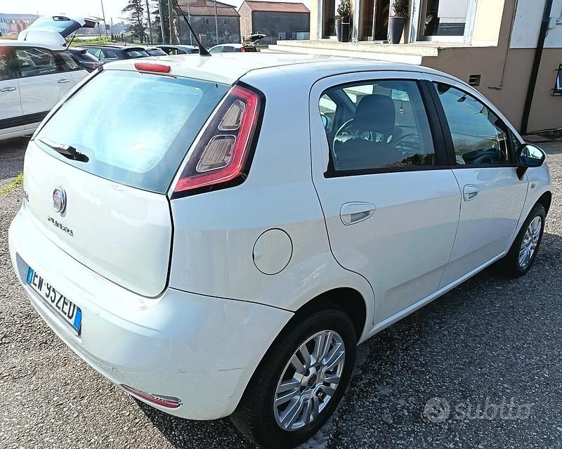 Usata Fiat Punto 69 CV (50 kW) 2014 Bianco Utilitaria