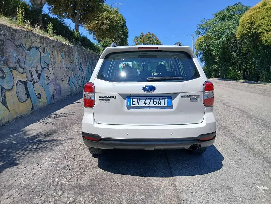 Usata Subaru Forester Trend 147 CV (108 kW) 2014 Bianco SUV