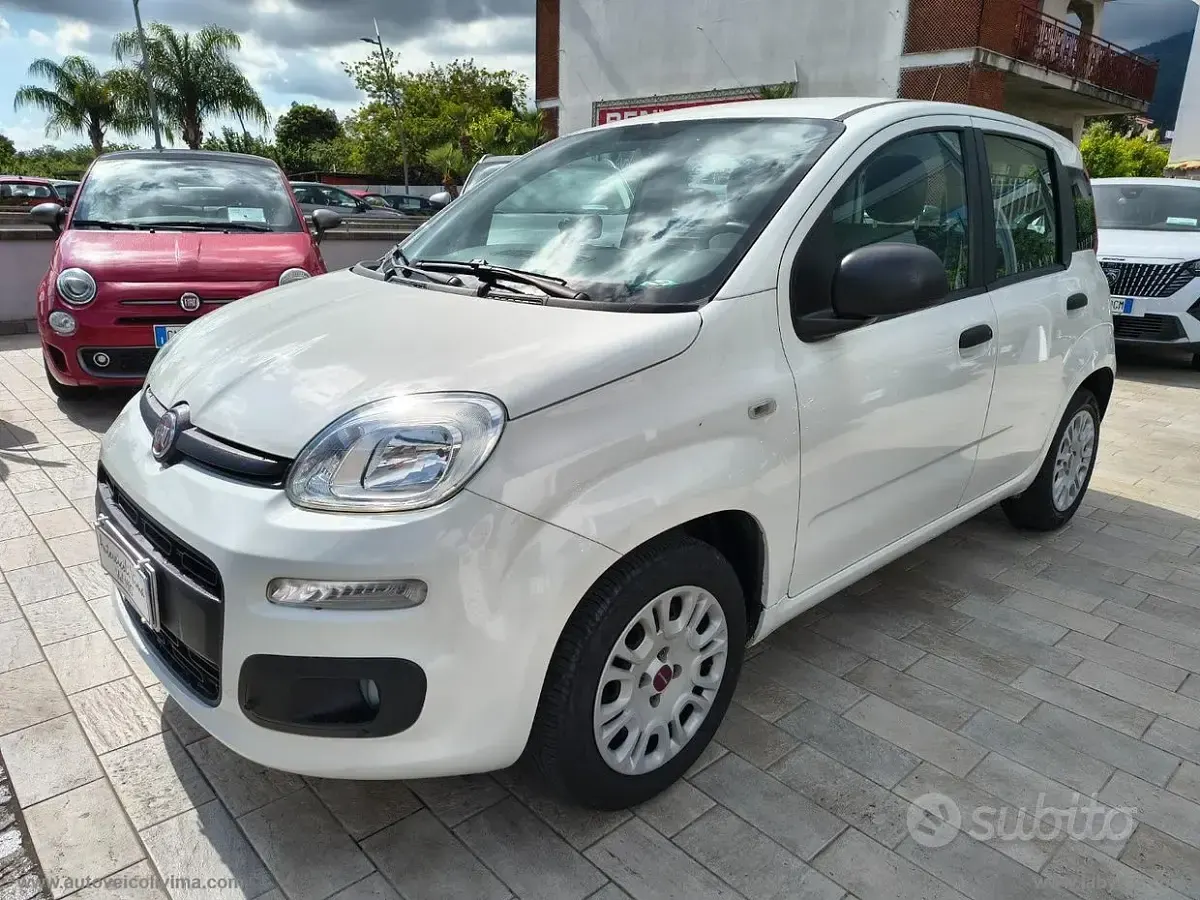 Usata Fiat Panda Easy 69 CV (50 kW) 2020 Bianco Utilitaria