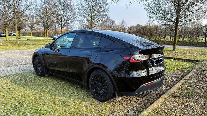 Usata Tesla Model Y RWD 88 kW (120 CV) 2024 SUV