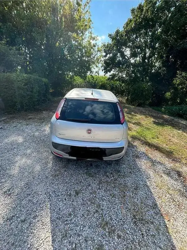 Usata Fiat Punto Evo Active 69 CV (50 kW) 2010 Utilitaria