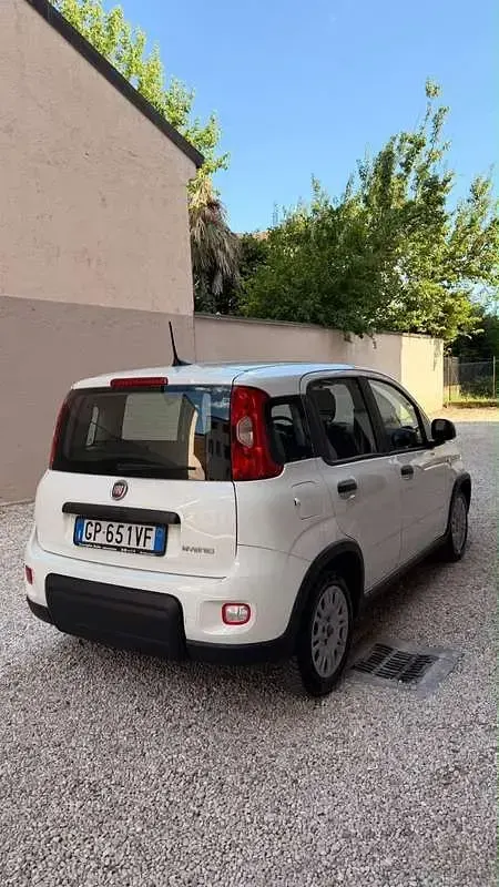Usata Fiat Panda S 69 CV (50 kW) 2023 Utilitaria