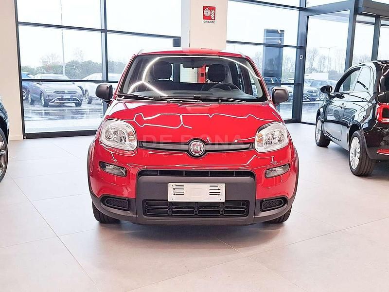 Usata Fiat Panda S 69 CV (50 kW) 2024 Rosso Utilitaria