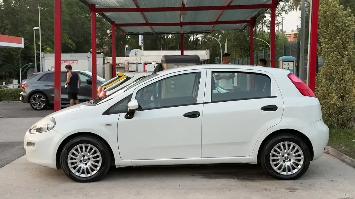 Usata Fiat Punto S 95 CV (69 kW) 2019 Bianco Furgone