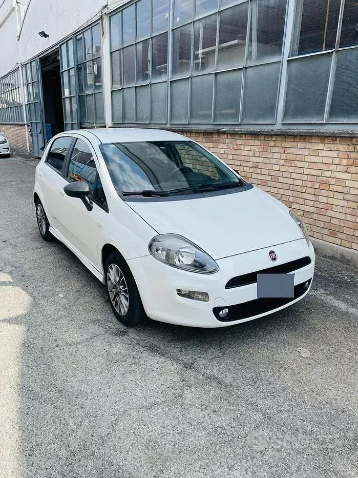 Usata Fiat Punto 69 CV (50 kW) 2013 Bianco Utilitaria