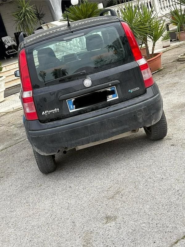 Usata Fiat Panda 60 CV (44 kW) 2006 Nero Utilitaria