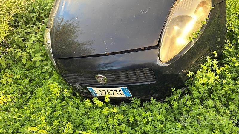 Usata Fiat Punto 2009 Blu Berlina