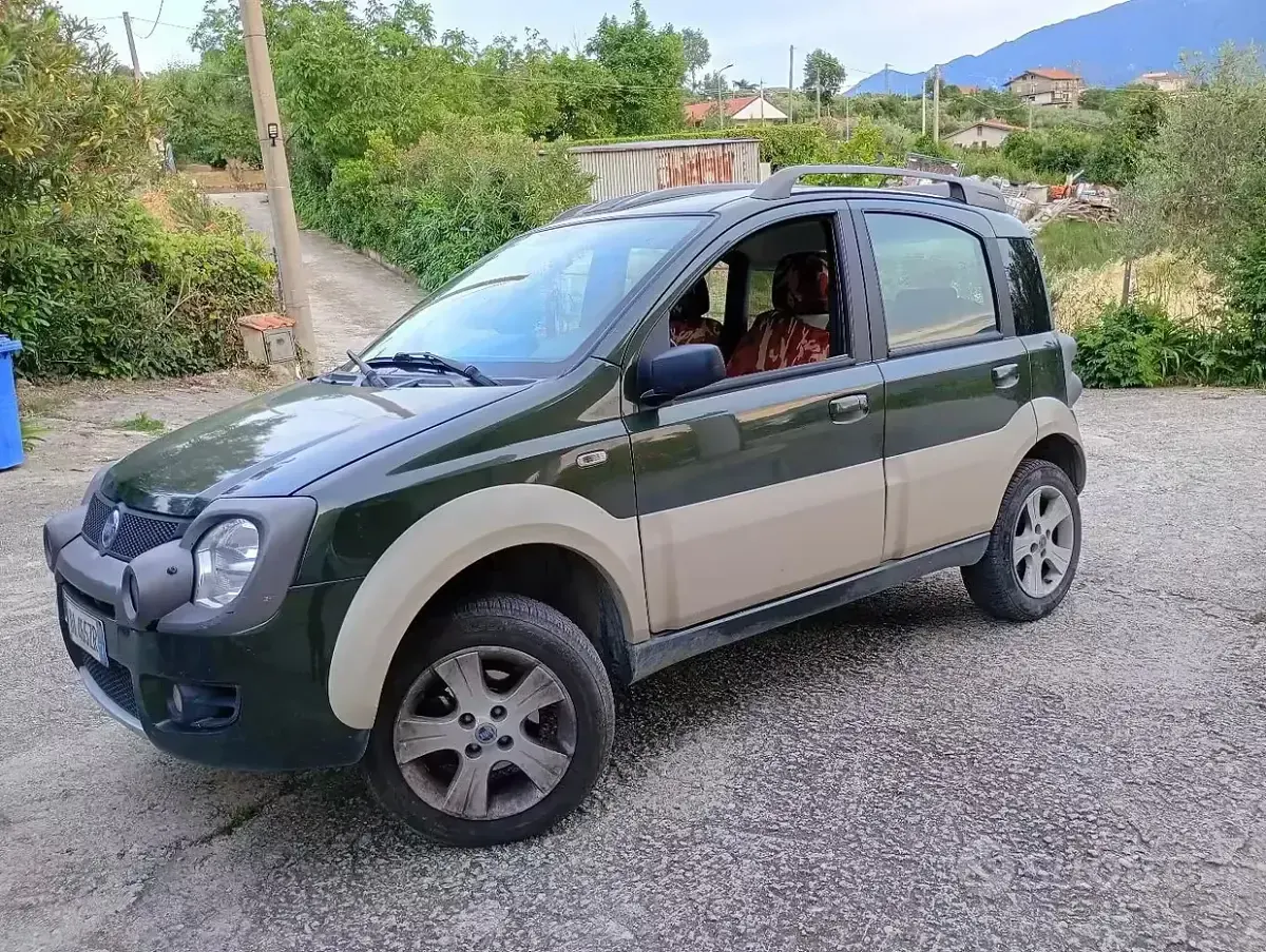 Usado Fiat Panda 4x4 80 CV (58 kW) 2006 Verde Utilitario