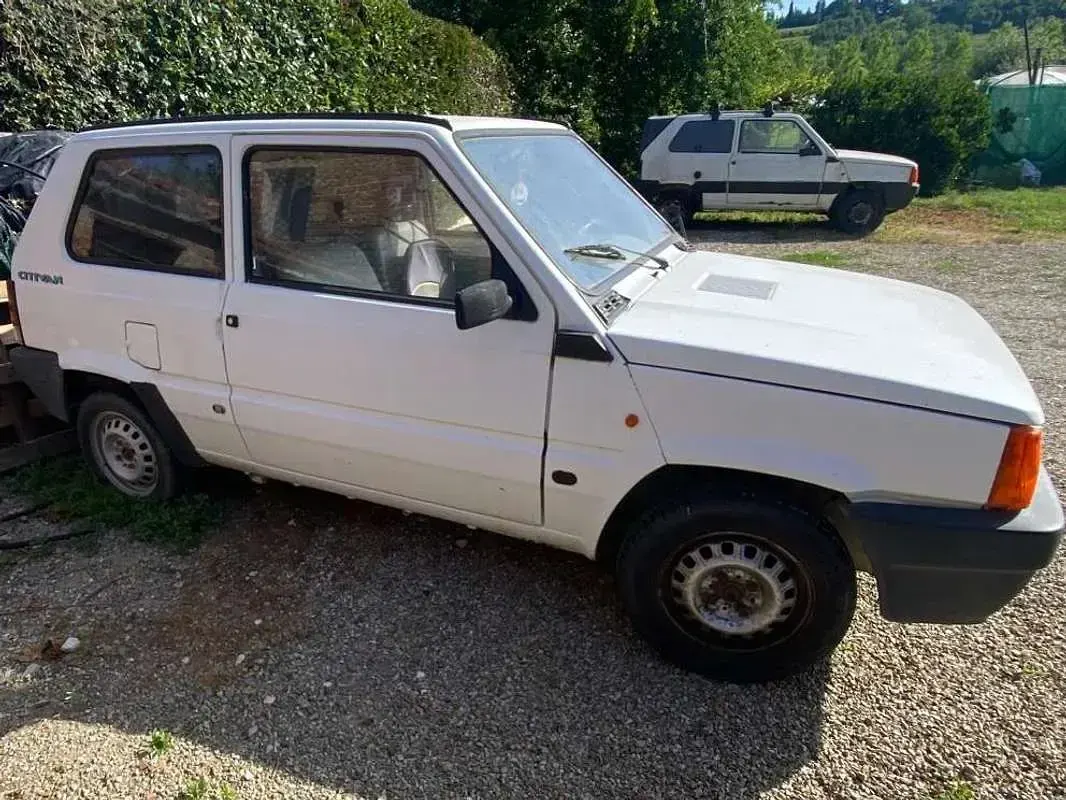 Usata Fiat Panda Dynamic 60 CV (44 kW) 2002 Bianco Utilitaria