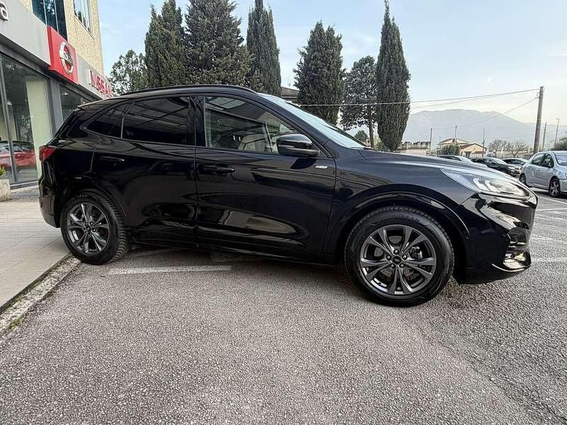 Usata Ford Kuga ST-Line X 120 CV (88 kW) 2024 SUV
