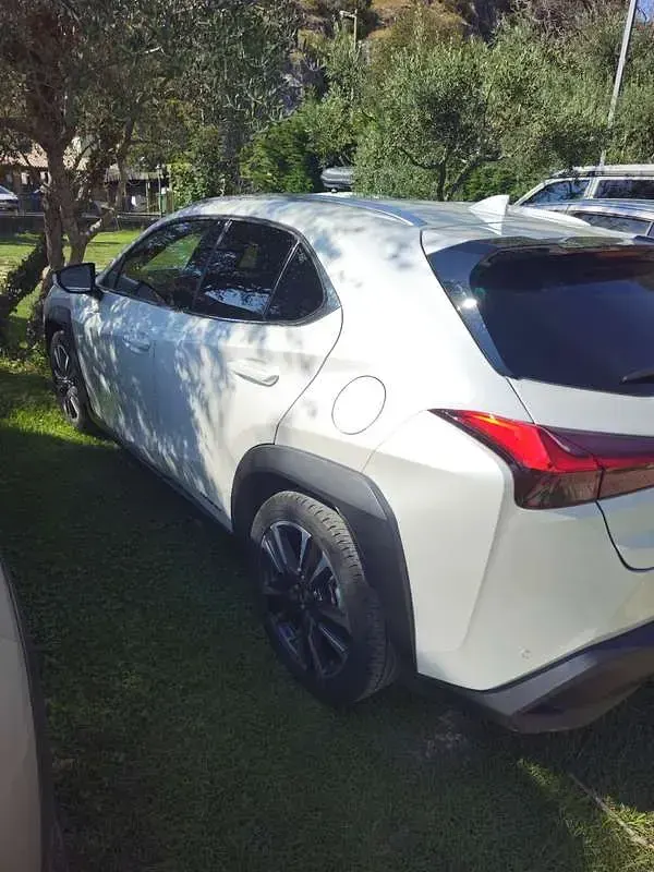 Usata Lexus UX 250h Luxury Line 145 CV (106 kW) 2020 Bianco SUV
