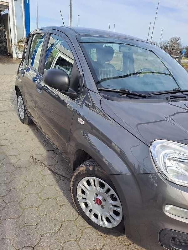 Usata Fiat Panda City Life 69 CV (50 kW) 2022 Utilitaria