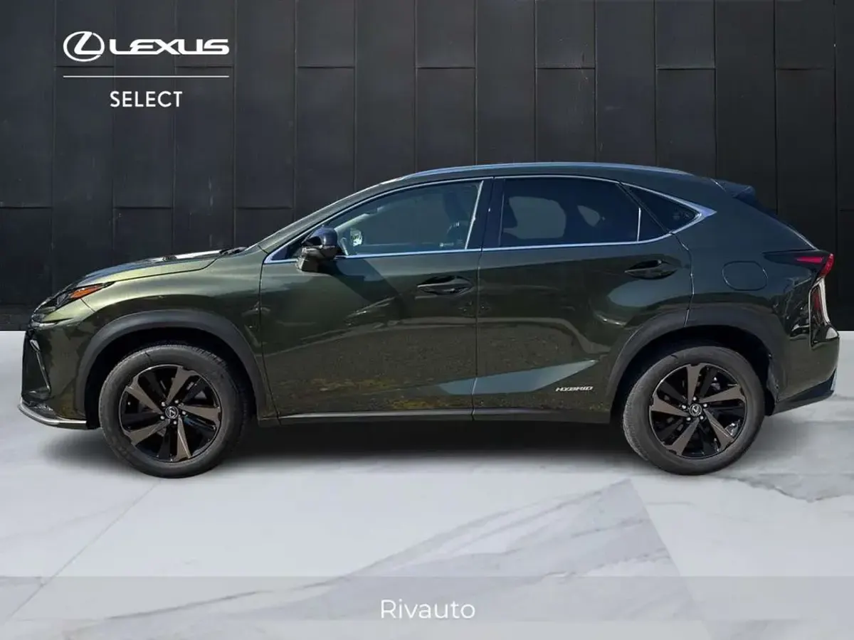 Usata Lexus NX300h 197 CV (144 kW) 2021 Verde SUV
