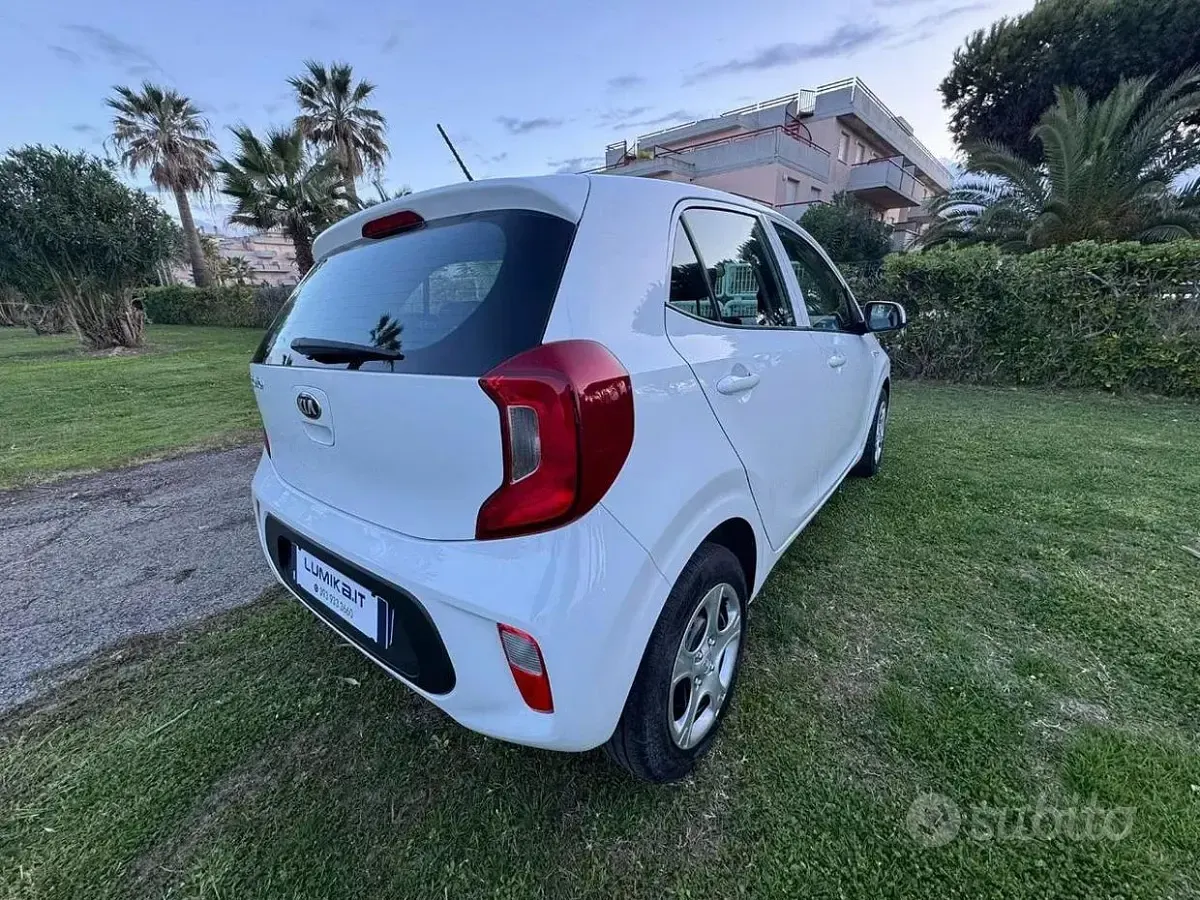 Usata Kia Picanto Active 67 CV (49 kW) 2019 Utilitaria