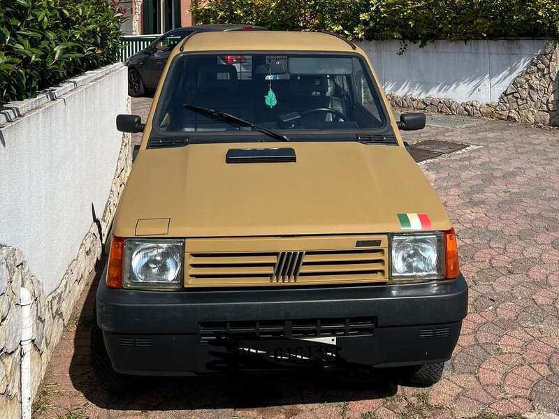 Usato 1992 Fiat Panda 4x4 1.0 Benzin 50 CV (9.500 €)