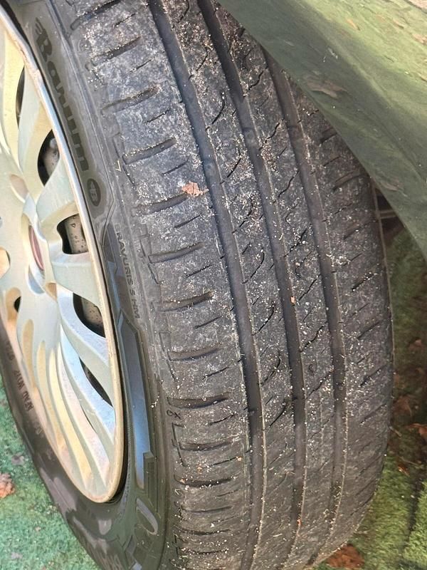 Usata Fiat Punto Evo Emotion 69 CV (50 kW) 2010 Nero Utilitaria