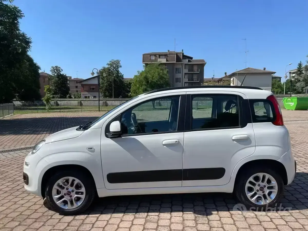Usata Fiat Panda 2019 Bianco Utilitaria