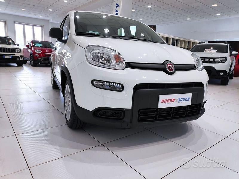 Usata Fiat Panda 70 CV (51 kW) 2024 Bianco Utilitaria