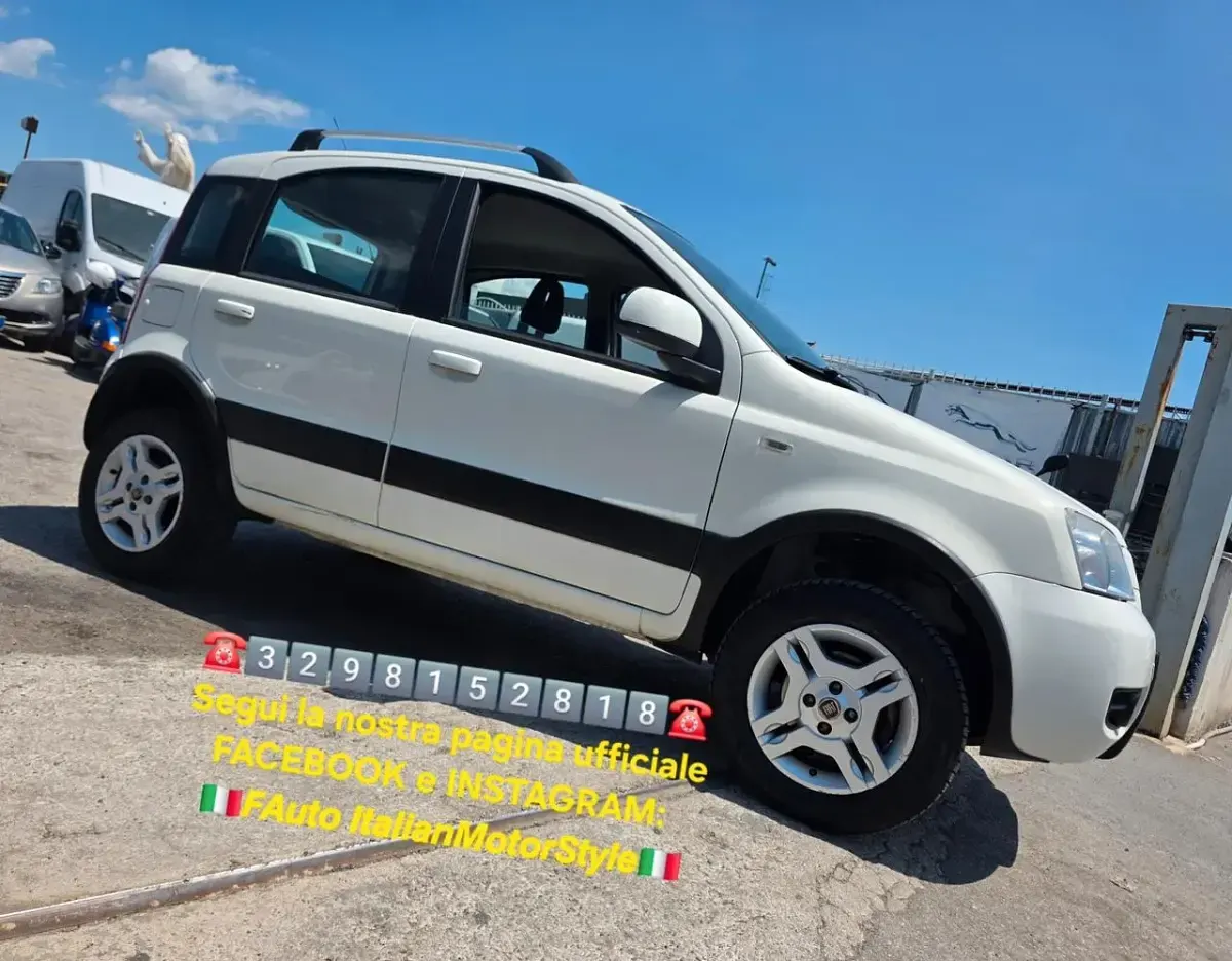 Usata Fiat Panda 4x4 Climbing 75 CV (55 kW) 2011 Bianco Utilitaria