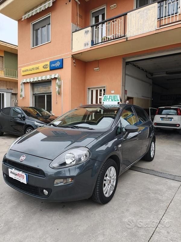 Usata Fiat Punto Lounge 77 CV (56 kW) 2016 Grigio Utilitaria