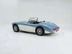 Usata Austin Healey 100 90 CV (66 kW) 1954 Altri Cabrio