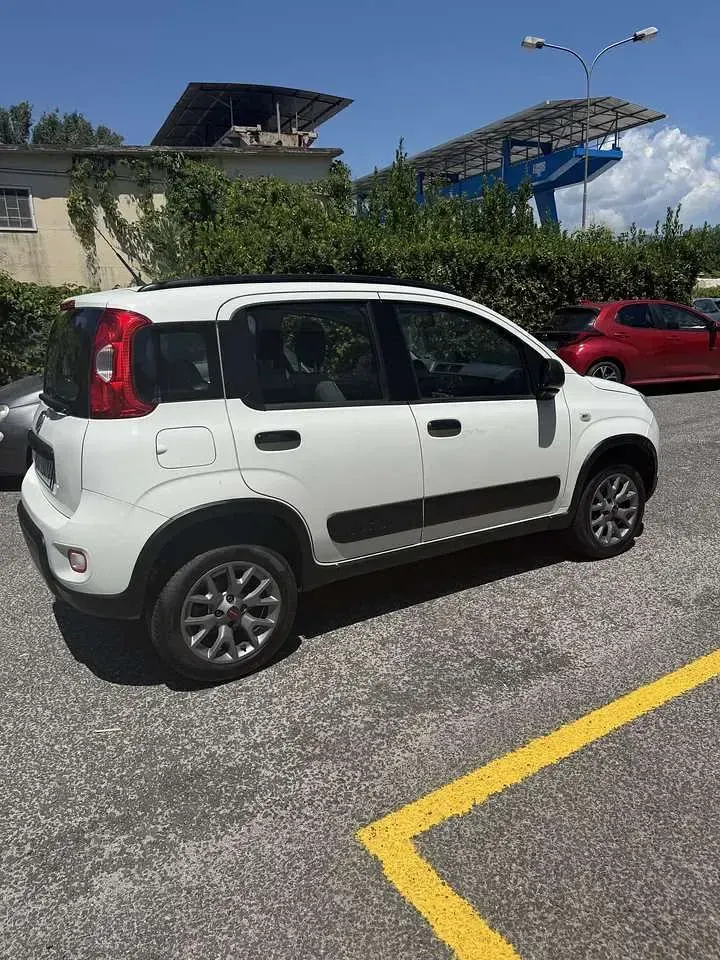 Usata Fiat Panda 4x4 86 CV (63 kW) 2020 Other Utilitaria