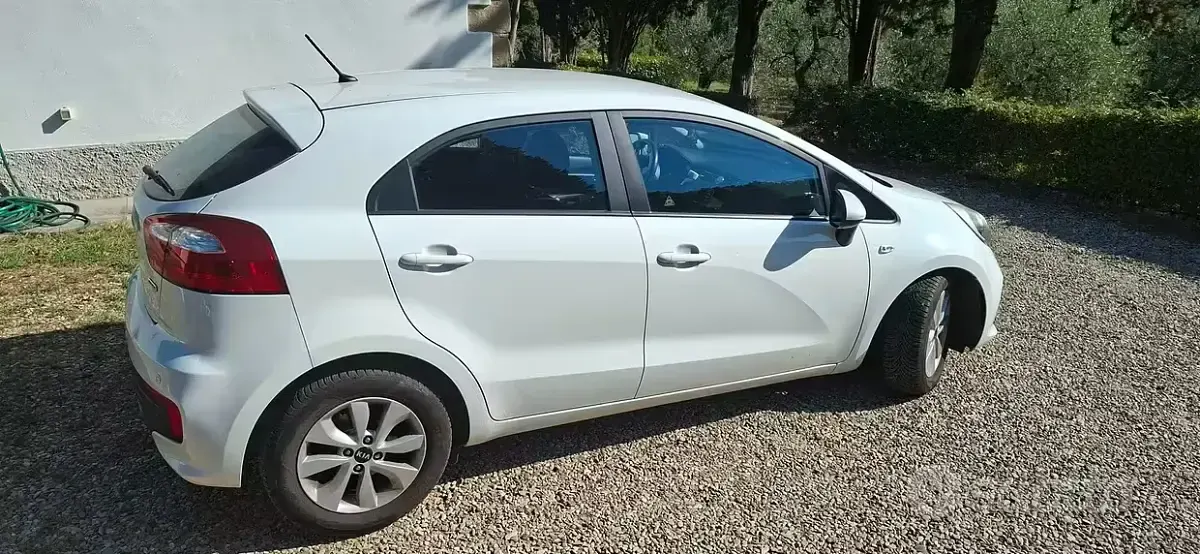 Usata Kia Rio Active 75 CV (55 kW) 2016 Bianco Utilitaria