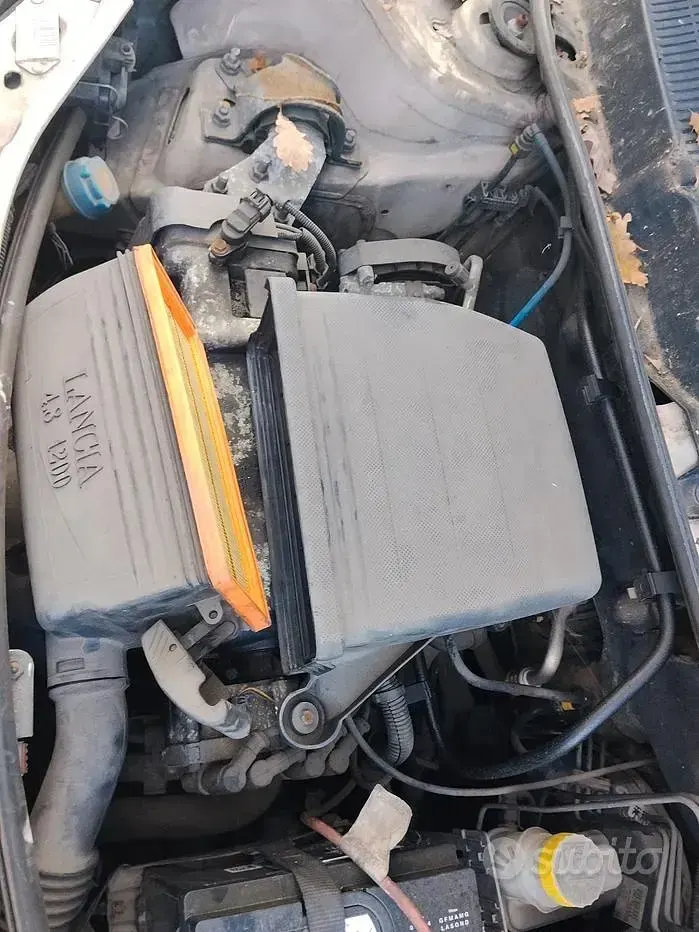 Usata Lancia Ypsilon 60 CV (44 kW) 2005 Utilitaria