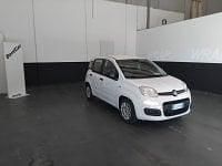 Usata Fiat Panda S 69 CV (50 kW) 2021 Bianco Utilitaria