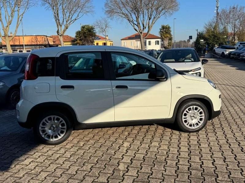Nuova Fiat Panda Icon 65 CV (47 kW) 2026 Bianco Utilitaria