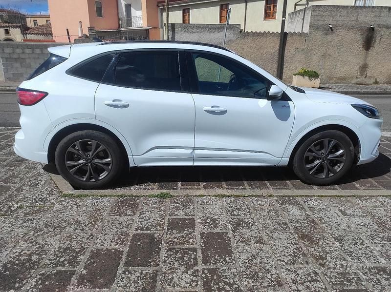 Usata Ford Kuga ST-Line 150 CV (110 kW) 2024 Bianco SUV