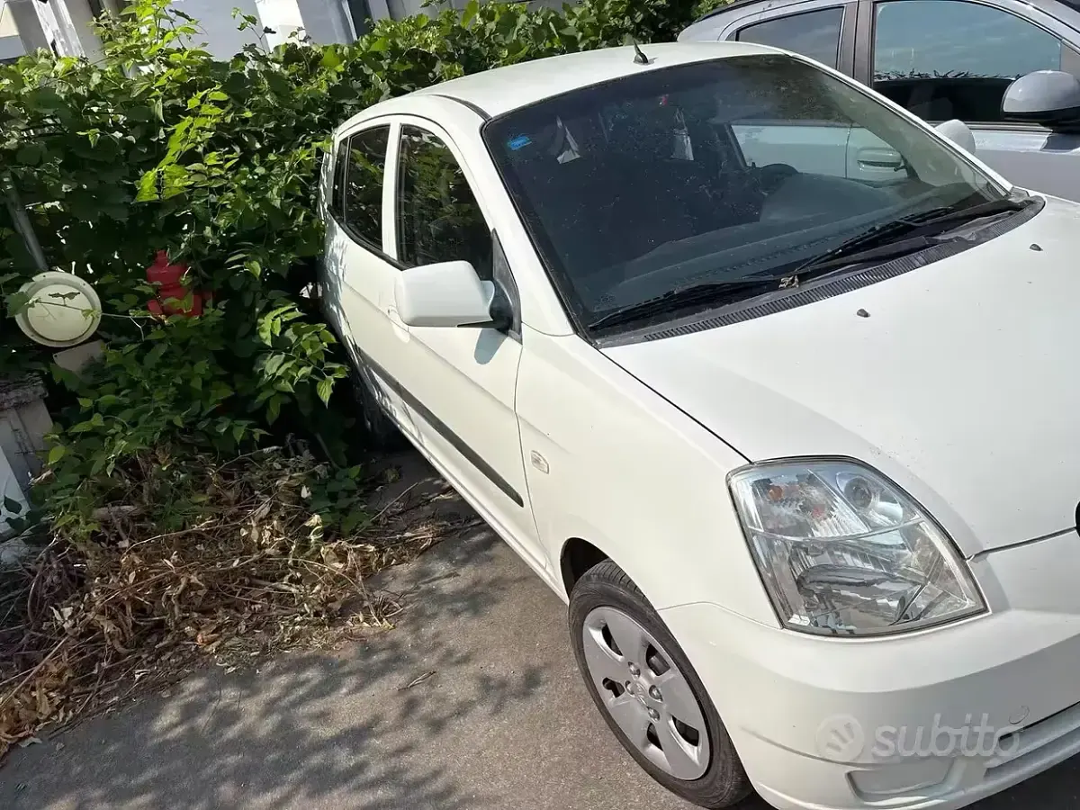 Usata Kia Picanto Urban 61 CV (44 kW) 2006 Utilitaria
