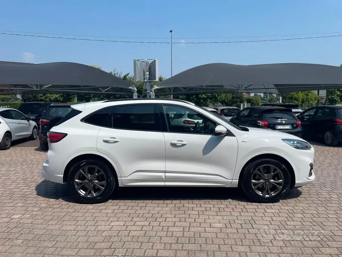 Usata Ford Kuga ST-Line X 120 CV (88 kW) 2021 Bianco SUV