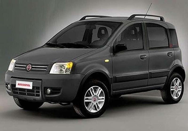 Usata Fiat Panda 4x4 69 CV (50 kW) 2012 Grigio Utilitaria