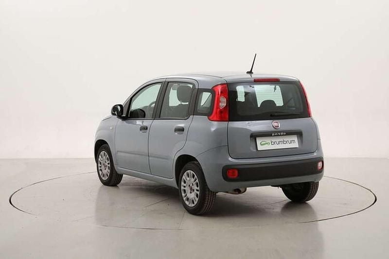 Usata Fiat Panda Easy 69 CV (50 kW) 2020 Grigio Utilitaria