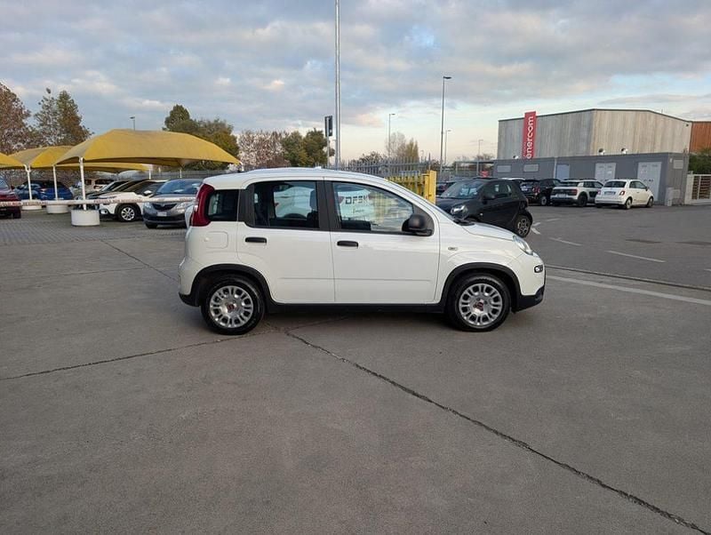 Usata Fiat Panda S 70 CV (51 kW) 2023 Bianco / pastello Utilitaria