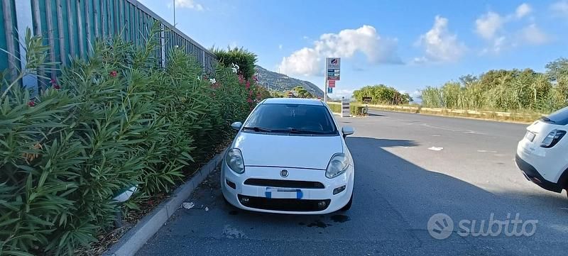 Usata Fiat Punto 75 CV (55 kW) 2014 Bianco Utilitaria