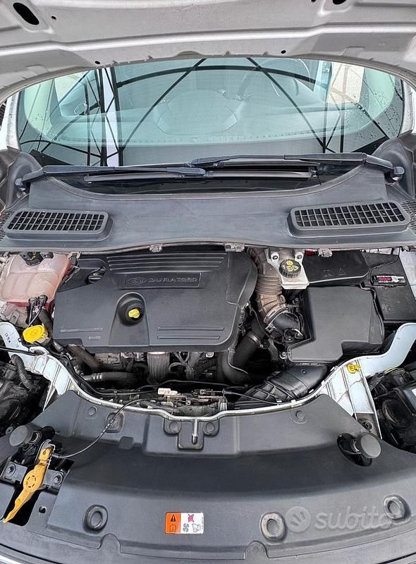 Usata Ford Kuga Business Edition 120 CV (88 kW) 2015 Bianco SUV