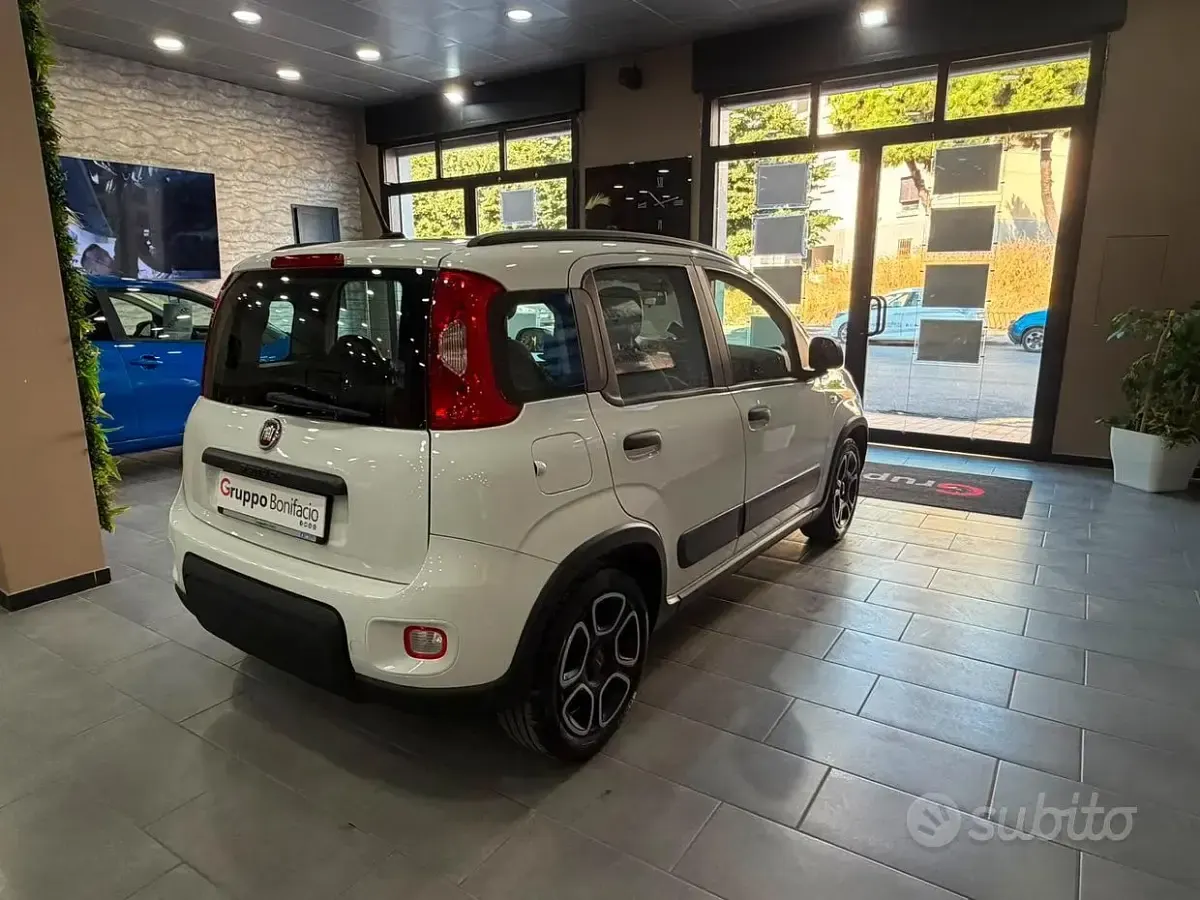 Usata Fiat Panda City Life 69 CV (50 kW) 2022 Bianco Utilitaria